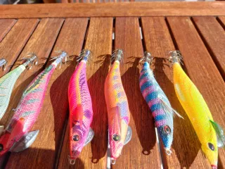 Pack 10 Jibioneras/Pajaritos calamar