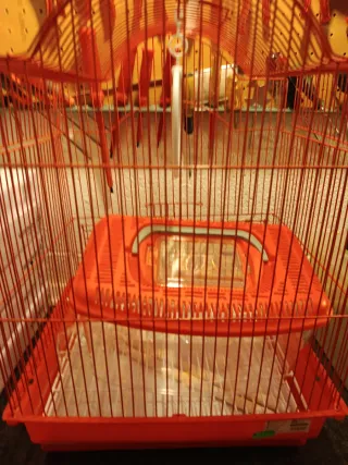 Jaula para pájaros roja y transportín