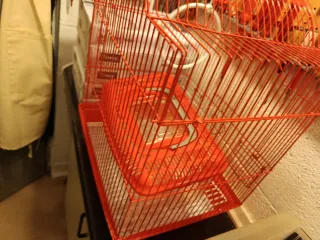 Jaula para pájaros roja y transportín