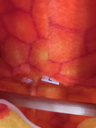 Disfraz Dinosaurio Naranja Talla Única