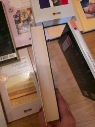 Lote de 17 libros de literatura clásica