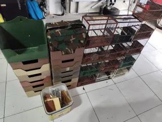Lote jaulas y cajones varios