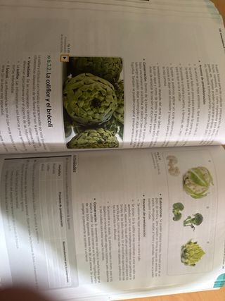 Preelaboración y conservación de alimentos