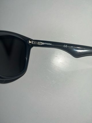 Gafas de Sol Carrera (Estilo Wayfarer / Gris)