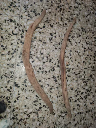 Varales para matanza abrir marranos  (yugos)