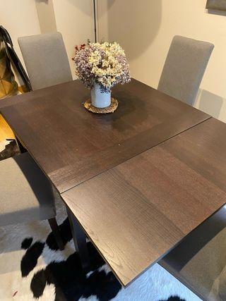 Mesa comedor extensible  y 4 sillas