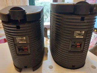 Yamaha NS-AW294 Casse Nere da Esterno