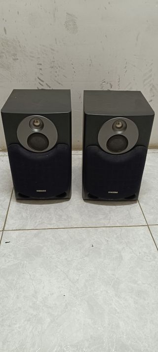 Altavoces Samsung Negro y Gris