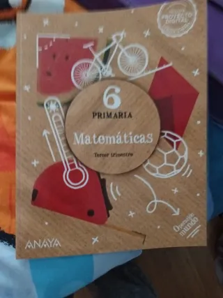 Matemáticas 6