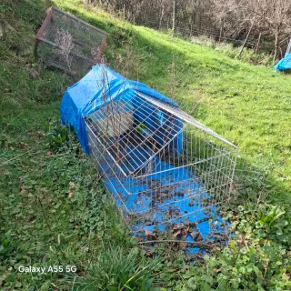 Jaula metálica para animales pequeños