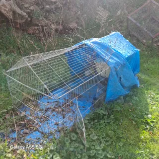 Jaula metálica para animales pequeños