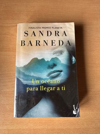 Un océano para llegar a ti: Finalista Premio Pl...