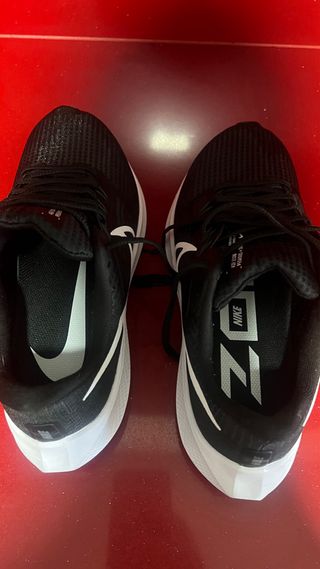 Nike Pegasus 39 Talla 42