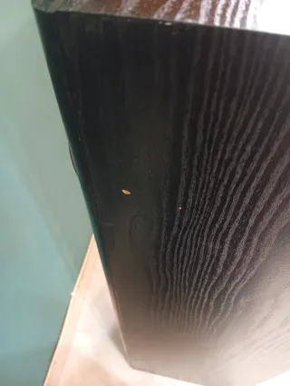 Bafles Columnas Negros Reacondicionados