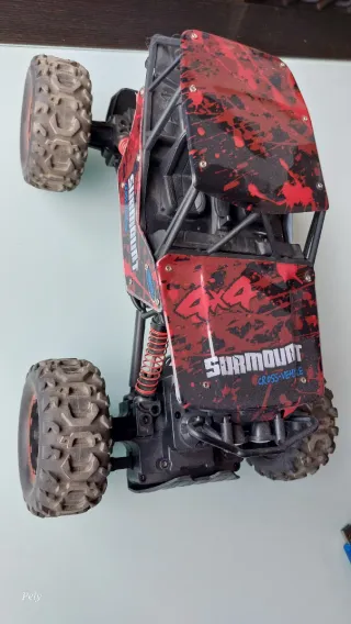 Mustang y Monster Truck Radio Control RC