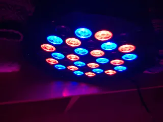Focos LED para discoteca