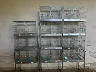 Gabbie per uccelli in metallo