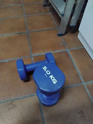 Step, pesas, barra y aparato de abdominales