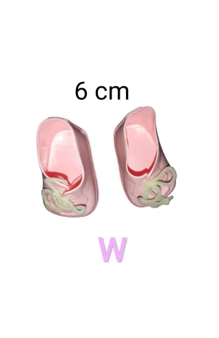 Lote zapatos Nenuca Nenuco 6 cm. 2 pares