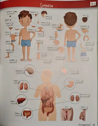Gramatika Ikusi eta ikasi A1 – A2