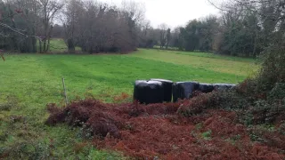 Parcela rustica en Amorin Tomiño 1300m