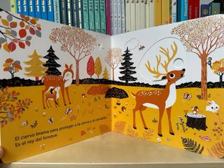 0-3 NUEVO. Un paseo por el bosque. Libro infantil