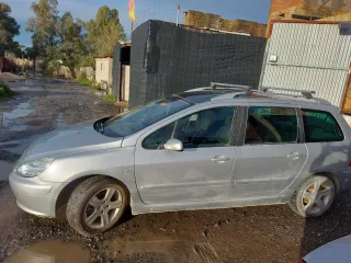 Despiece Peugeot 307 SW