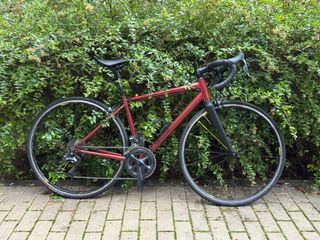 Bicicleta Titanio Van Nicholas Talla S