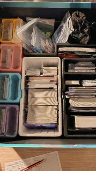 ISS Vanguard,ed. Devir castellano