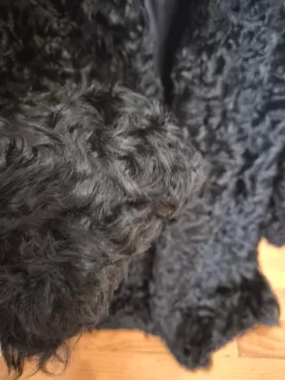 Abrigo pelo Piel Cordero Astracán Negro.