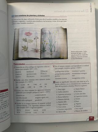 Libro de latin bachillerato