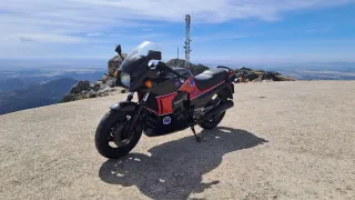 Kawasaki GPZ 900R Top Gun