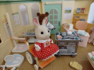 Casa Hospital Sylvanian Families