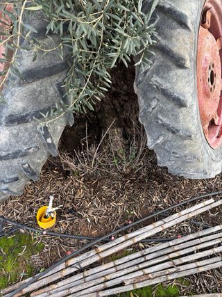 Neumático Michelin para tractor