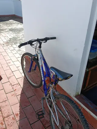 Bicicleta de Montaña Azul