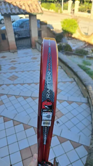 Pala Padel Starvie Raptor