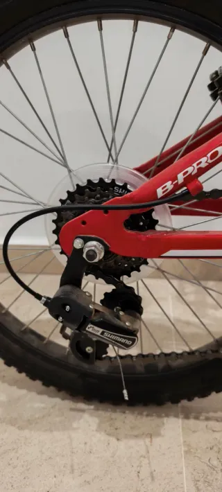 Bicicleta infantil B-Pro JR20