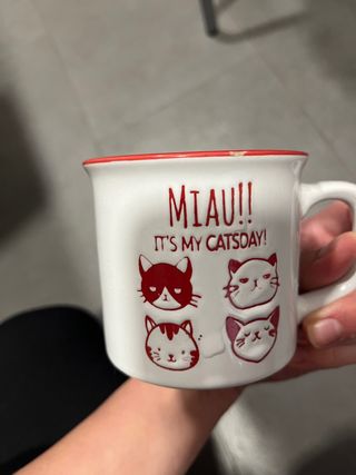 Lote de 6 tazas de cerámica