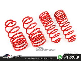 MUELLES DEPORTIVOS MTS TECHNIK MTSXBM013