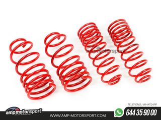 MUELLES DEPORTIVOS MTS TECHNIK MTSXOP223