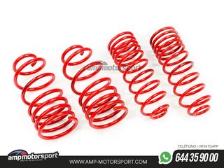 MUELLES DEPORTIVOS MTS TECHNIK MTSXPE025