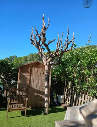 Jardinero particular