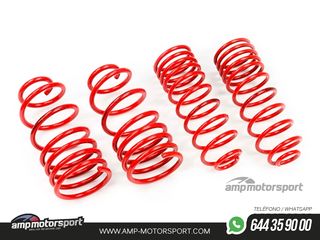 MUELLES DEPORTIVOS MTS TECHNIK MTSXHO022