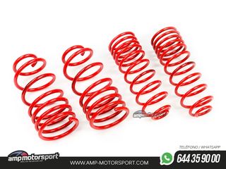 MUELLES DEPORTIVOS MTS TECHNIK MTSXFO115