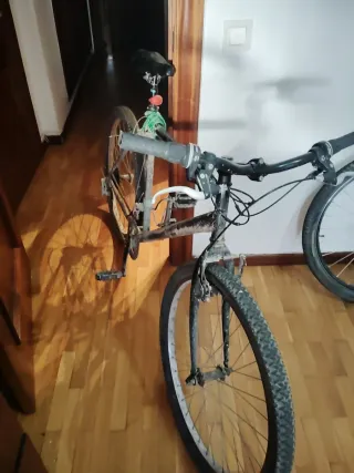 Bicicleta de montaña 26