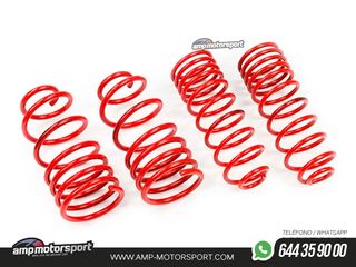 MUELLES DEPORTIVOS MTS TECHNIK MTSXRE139