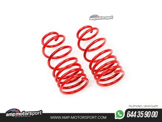 MUELLES DEPORTIVOS MTS TECHNIK MTSXPE097