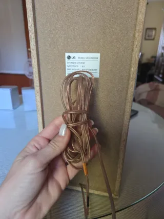 Altavoces LG Gris/Plata