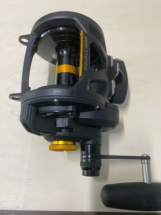 Carrete de pesca Penn Squall 30VSW