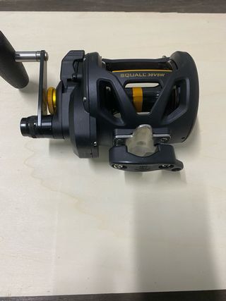 Carrete de pesca Penn Squall 30VSW
